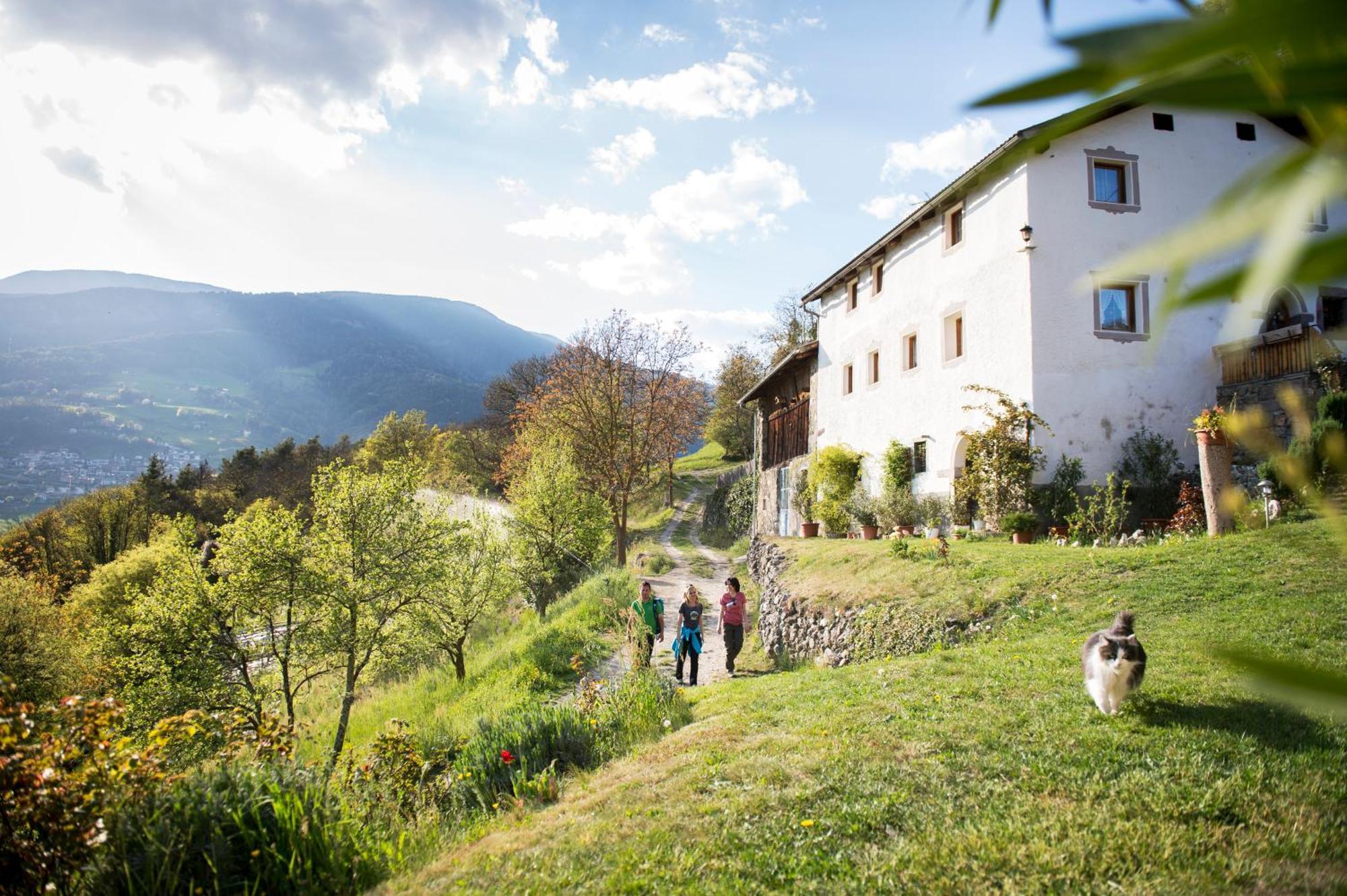 Appartements Riegelehof ไลออน ภายนอก รูปภาพ